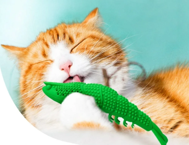 Чистка зубов кошке