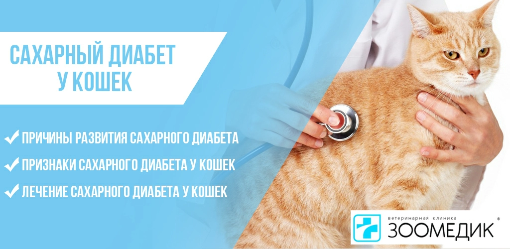 Купить лекарства для кошек – цена от 46 грн