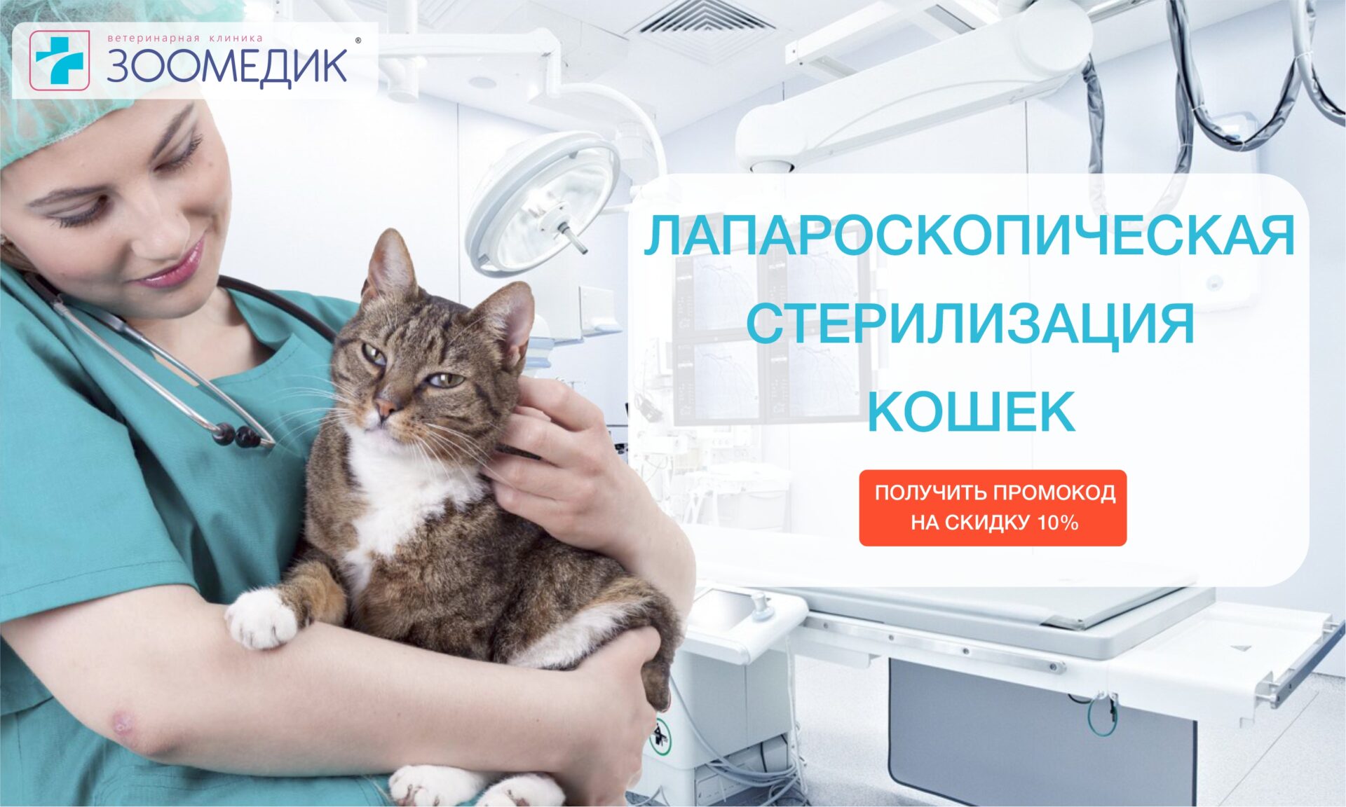 Стерилизация кошек - Зоомедик